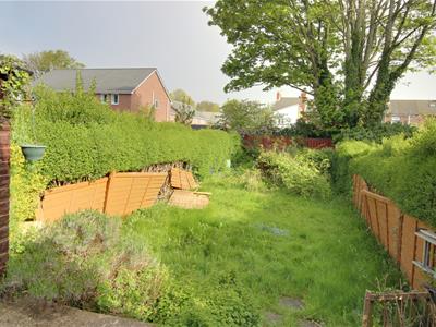 Picture 14